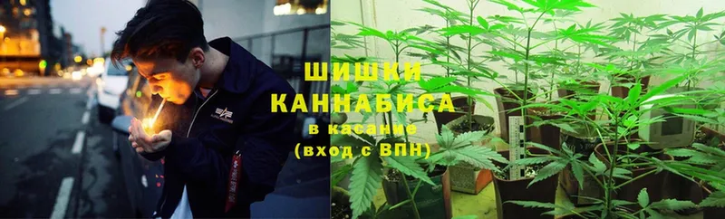 купить наркотики цена  ОМГ ОМГ зеркало  Конопля Ganja  Тимашёвск 